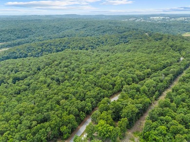 An opportunity like this is incredibly rare near Norfork Lake - photo 17