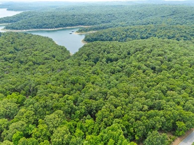 An opportunity like this is incredibly rare near Norfork Lake - photo 18