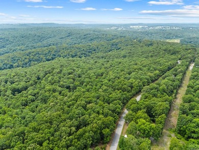 An opportunity like this is incredibly rare near Norfork Lake - photo 19