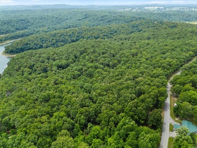 An opportunity like this is incredibly rare near Norfork Lake - photo 20