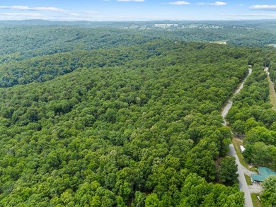 An opportunity like this is incredibly rare near Norfork Lake - photo 21