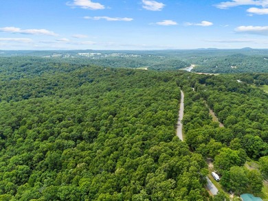 An opportunity like this is incredibly rare near Norfork Lake - photo 22