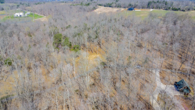 Wooded Lot in Gated Neighborhood, Central Location - photo 10