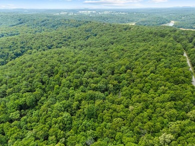 An opportunity like this is incredibly rare near Norfork Lake - photo 23