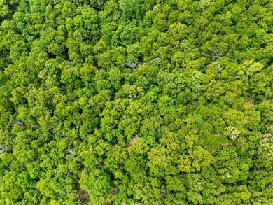 An opportunity like this is incredibly rare near Norfork Lake - photo 24
