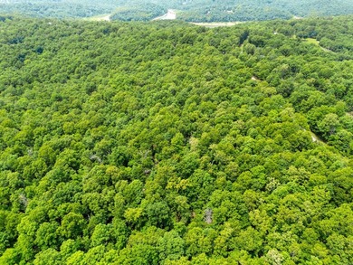 An opportunity like this is incredibly rare near Norfork Lake - photo 26