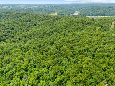 An opportunity like this is incredibly rare near Norfork Lake - photo 27