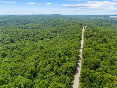 An opportunity like this is incredibly rare near Norfork Lake - photo 29