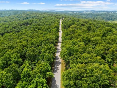 An opportunity like this is incredibly rare near Norfork Lake - photo 30