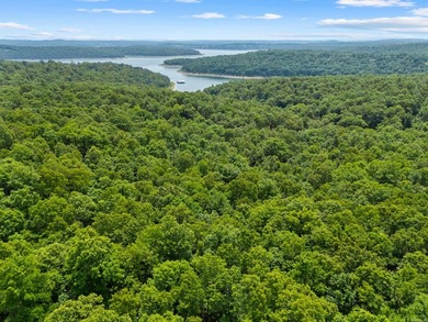 An opportunity like this is incredibly rare near Norfork Lake - photo 31