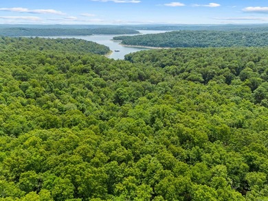 An opportunity like this is incredibly rare near Norfork Lake - photo 32