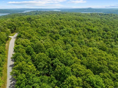 An opportunity like this is incredibly rare near Norfork Lake - photo 33