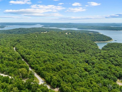 An opportunity like this is incredibly rare near Norfork Lake - photo 36