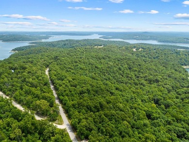 An opportunity like this is incredibly rare near Norfork Lake - photo 37