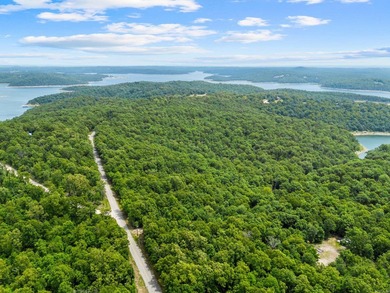 An opportunity like this is incredibly rare near Norfork Lake - photo 38