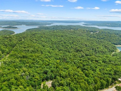 An opportunity like this is incredibly rare near Norfork Lake - photo 39