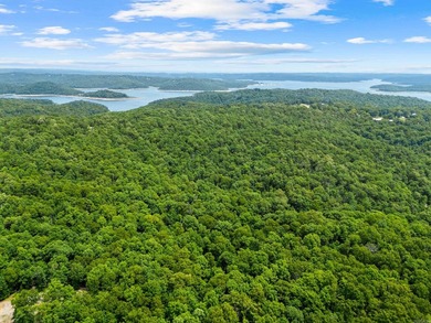 An opportunity like this is incredibly rare near Norfork Lake - photo 40
