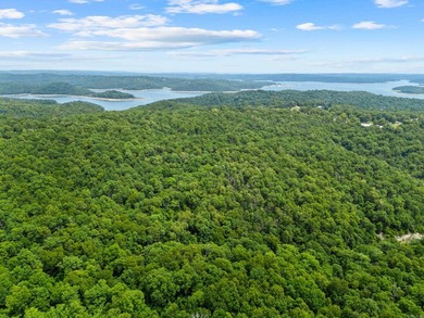 An opportunity like this is incredibly rare near Norfork Lake - photo 41