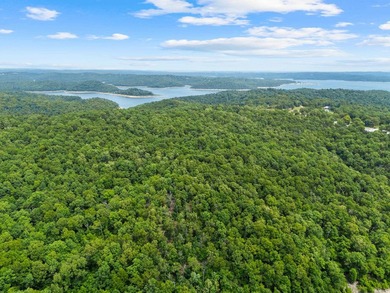 An opportunity like this is incredibly rare near Norfork Lake - photo 42