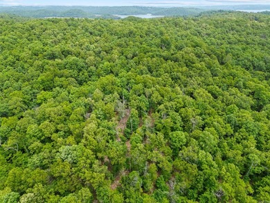 An opportunity like this is incredibly rare near Norfork Lake - photo 43