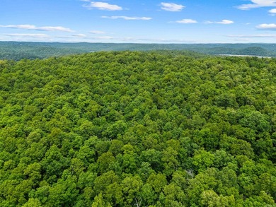 An opportunity like this is incredibly rare near Norfork Lake - photo 44