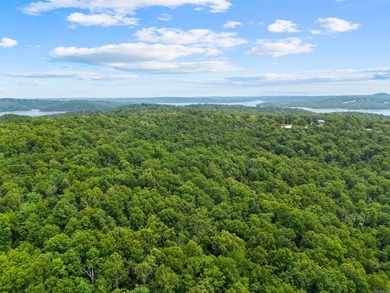 An opportunity like this is incredibly rare near Norfork Lake - photo 45