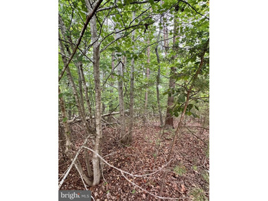 Build your ideal weekend retreat or second home on this - photo 12