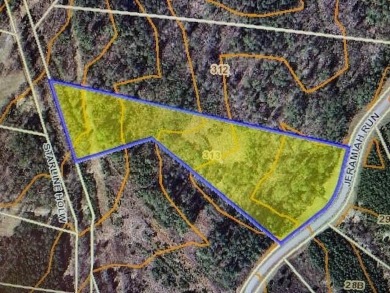 Leesville Lake Lot For Sale in Lynch Station Virginia