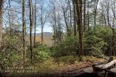 Lake Glenville Acreage For Sale in Cullowhee North Carolina