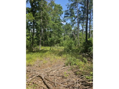 Lake Lot For Sale in Flint, Texas