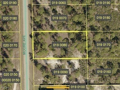 Lehigh Acres Area Lot For Sale in Lehigh Acres Florida