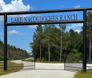 Lake Nacogdoches Acreage For Sale in Douglass Texas