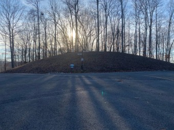 Dale Hollow Lake Lot For Sale in Albany Kentucky