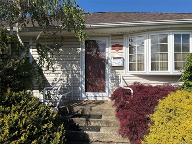 Set on a 60x100 lot in The Forest City section of Wantagh in - photo 2