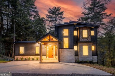 Ellijay River Home For Sale in Cherry Log Georgia
