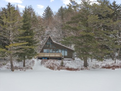 (private lake, pond, creek) Home Sale Pending in Old Forge New York