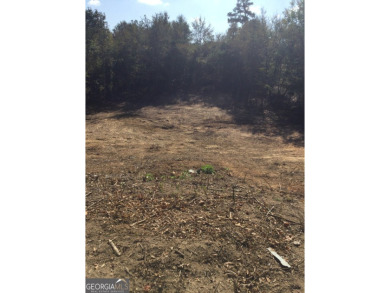 Lake Lot For Sale in Lizella, Georgia