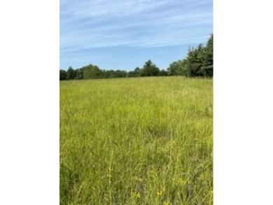 Lake Acreage For Sale in Tennessee Colony, Texas