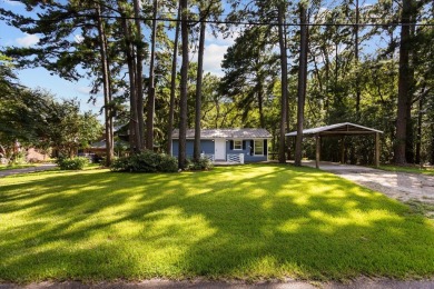 Welcome to your fully furnished lakefront retreat on Houston - photo 5