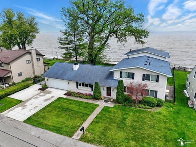 Wake up to see the sunrise over Lake Erie! Unique lakefront home - photo 3