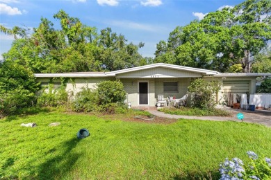 Lake Home For Sale in Tampa, Florida
