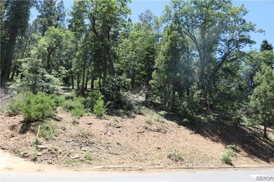 Big Bear Lake Lot For Sale in Big Bear City California