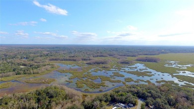 Tsala Apopka Chain of Lakes Lot For Sale in Floral City Florida