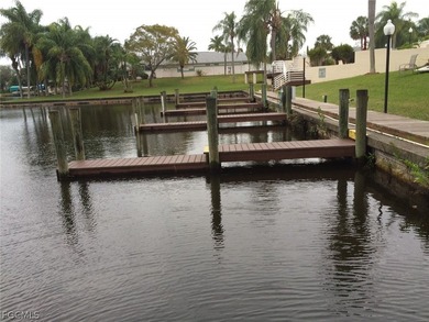 Welcome to Palm Island! SWFL maintenance-free life in a gated - photo 33