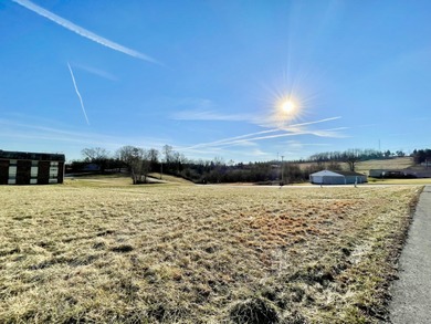 Ideal building lot suitable for apartments or professional - photo 3