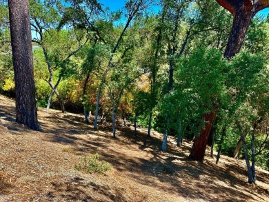 Lake Lot For Sale in Copperopolis, California