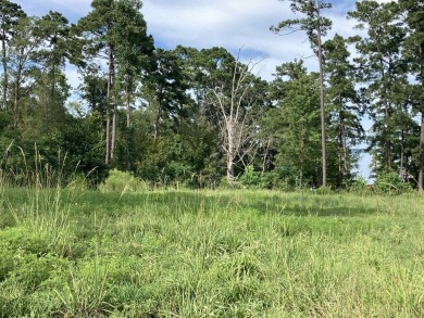 Lake Lot For Sale in Milam, Texas