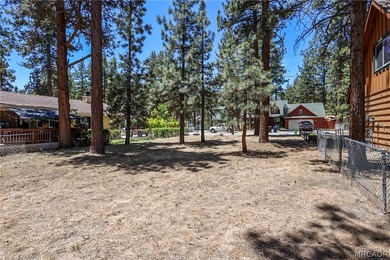 Level Lot in the Peter Pan Area of Big Bear - photo 4