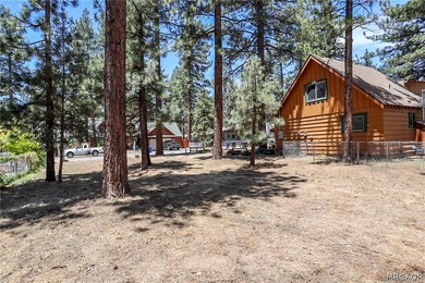 Level Lot in the Peter Pan Area of Big Bear - photo 5