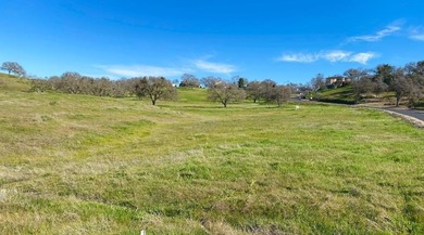 Lake Camanche Lot For Sale in Wallace California